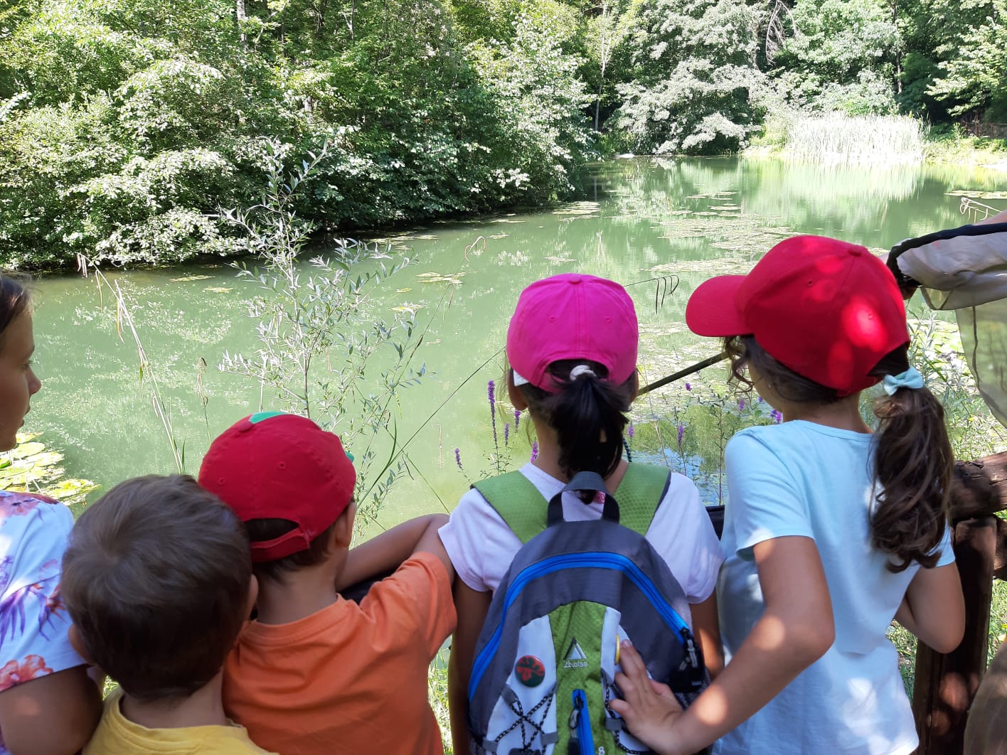 Proposte primaria e secondaria I grado