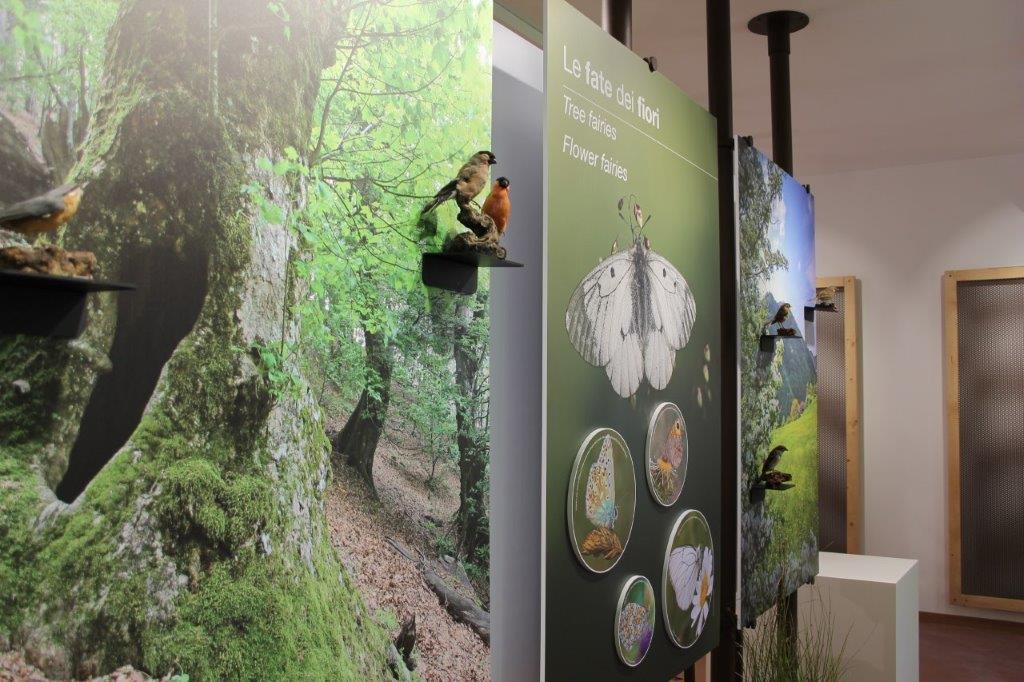 Centro visite del Parco di Premilcuore