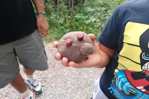 cosa-ti-cresce-in-testa-valbonella
