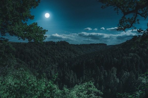 una-notte-al-giardino-valbonella