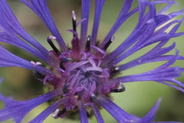 visite-guidate-luglio-valbonella