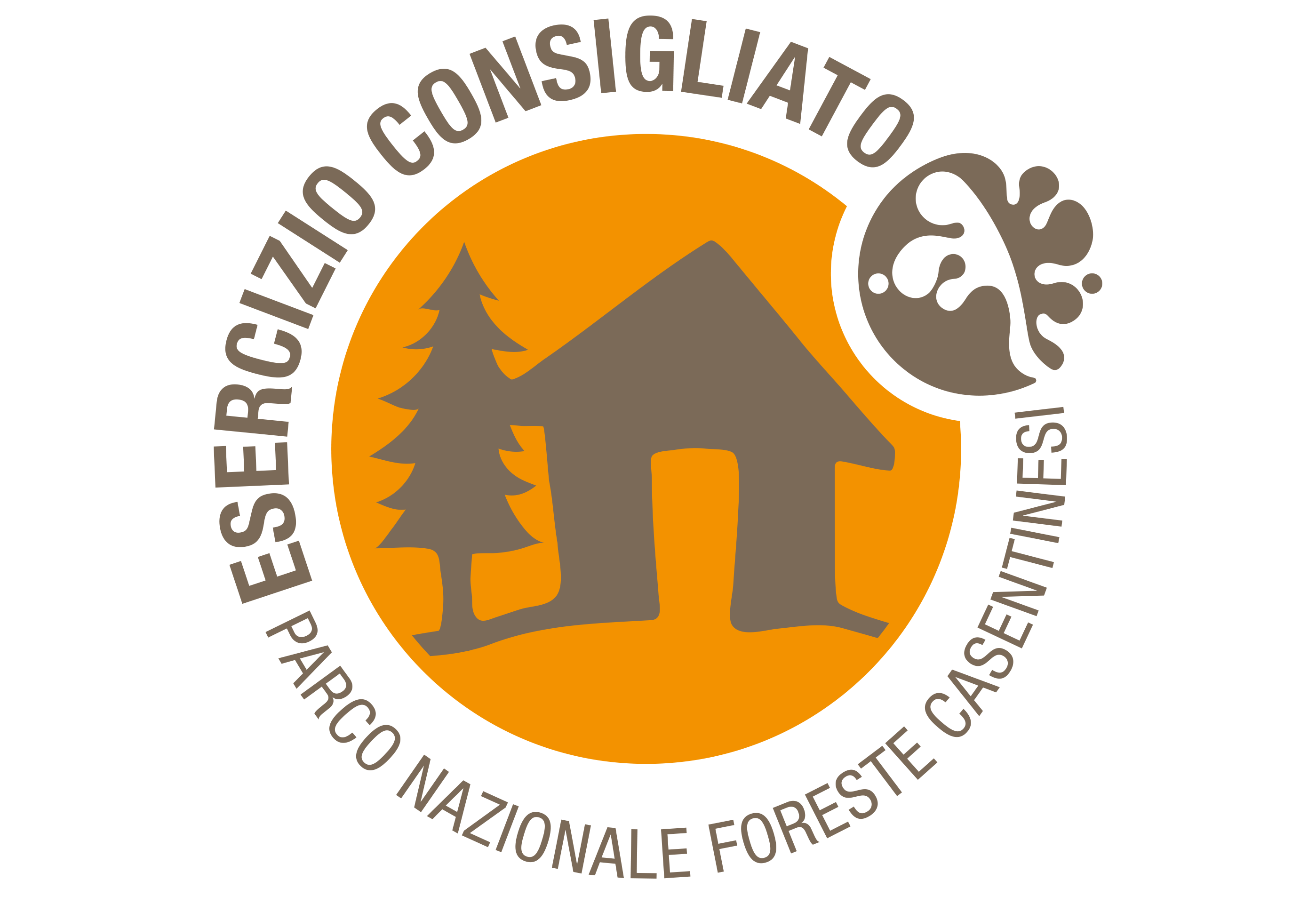 Logo PNFC