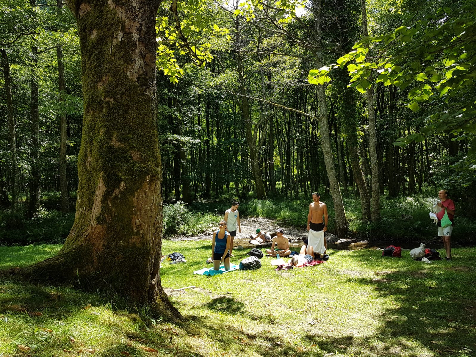 Forests of the Lama